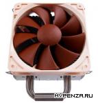       Noctua